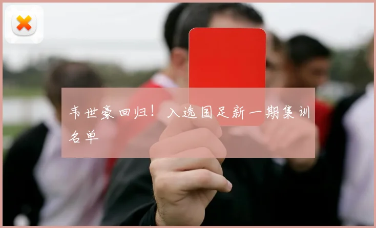 韦世豪回归！入选国足新一期集训名单